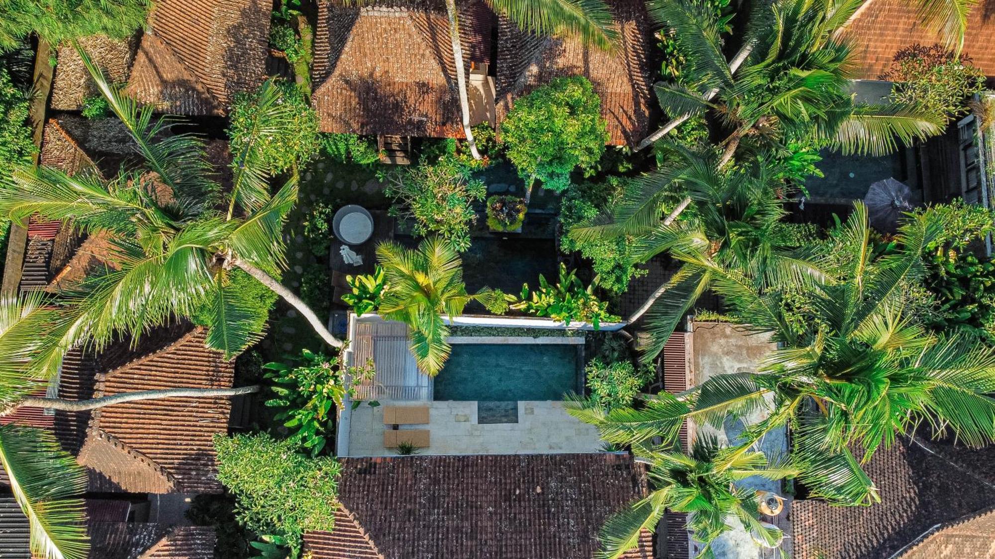 Kakul Villas & Suites विला